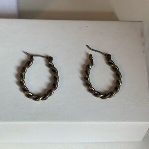 Elegant Twisted Hoop Earrings